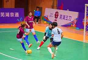 2025WTA生育支持制度，其他个人项目可以学习什么
